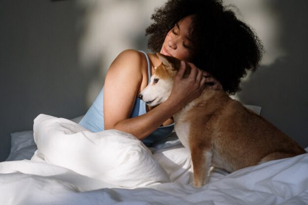 Free stock photo of afro, afro hair, at home